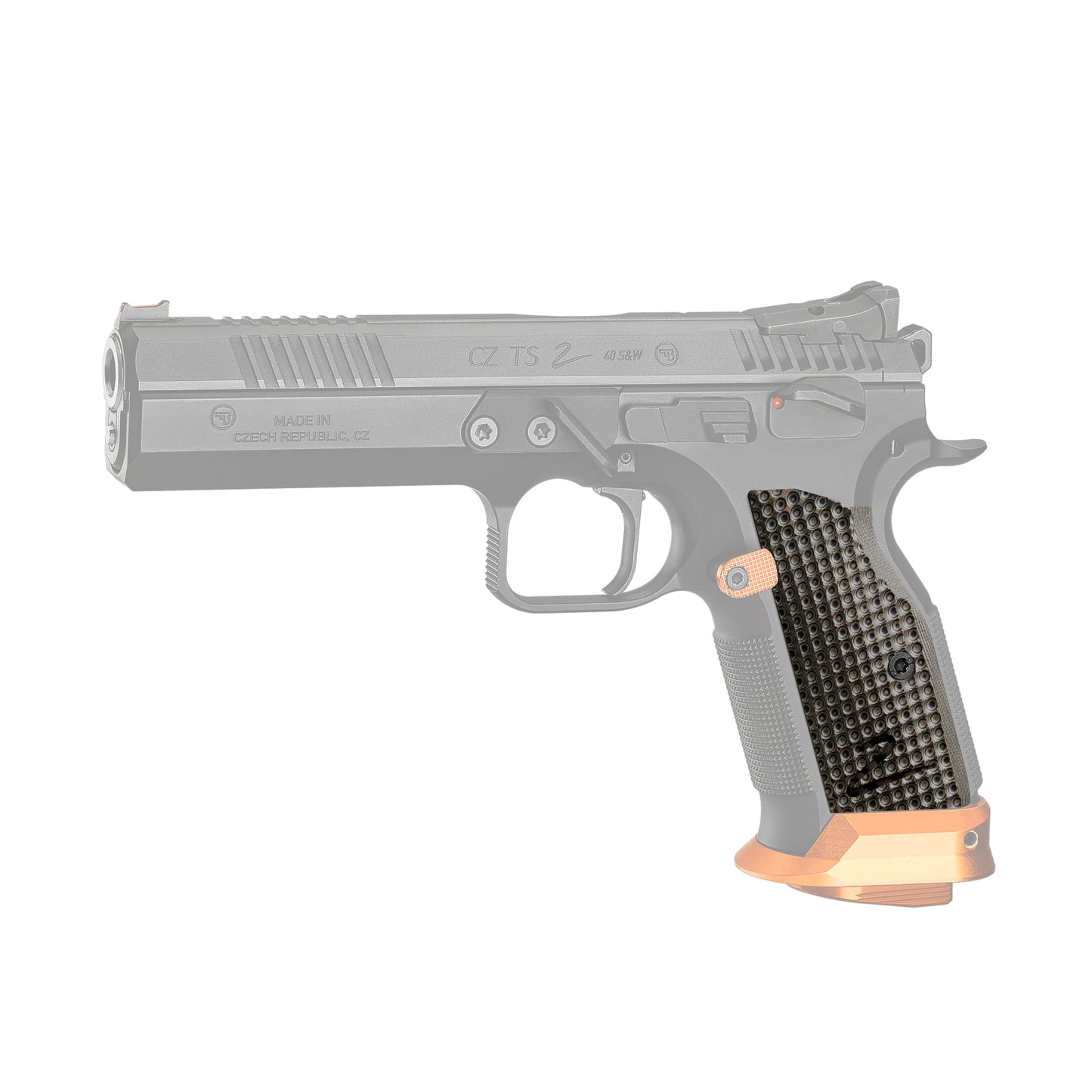 CZ TS2 - BOGIES G-10 - Palm Swell