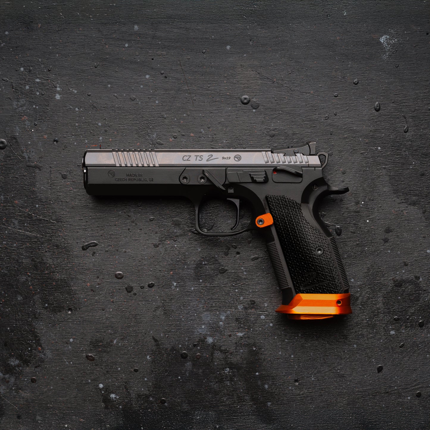 CZ TS2 - VOYTY G-10 - Palm Swell