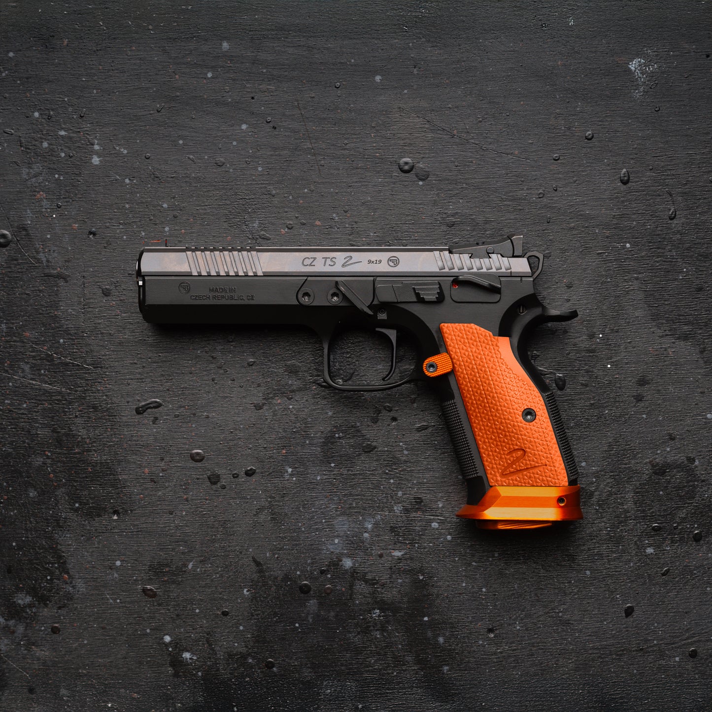 CZ TS2 - VOYTY G-10 - Palm Swell
